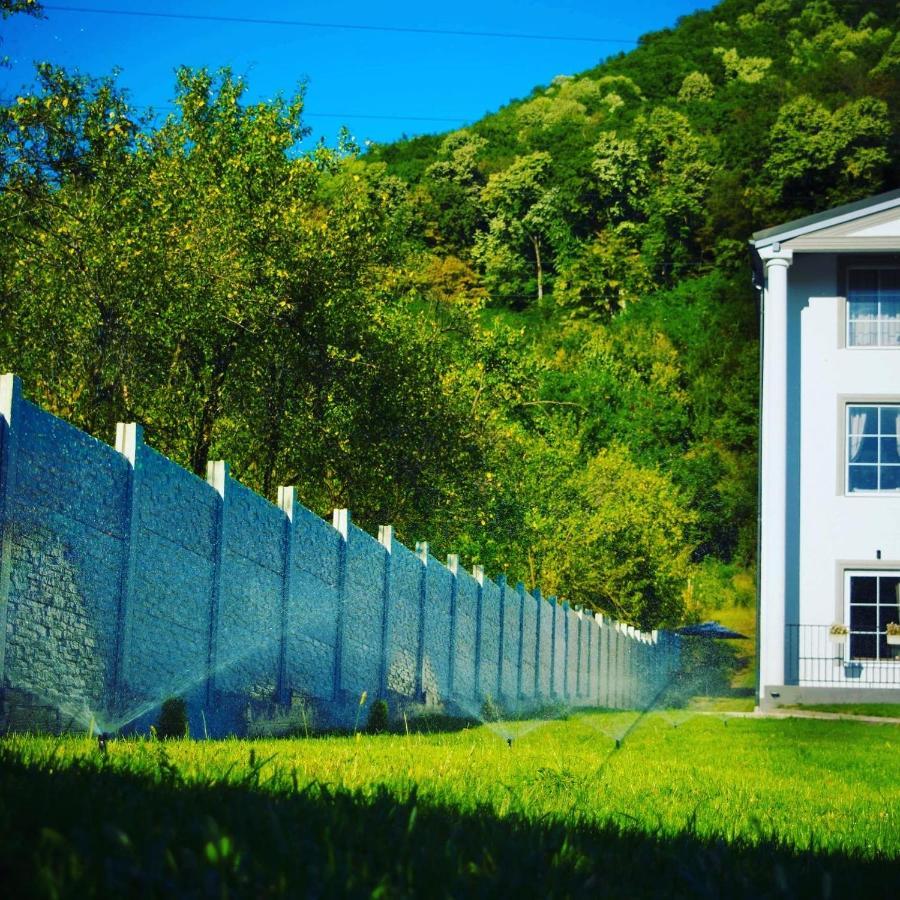 Green Hill Villa Călimăneşti Exterior foto