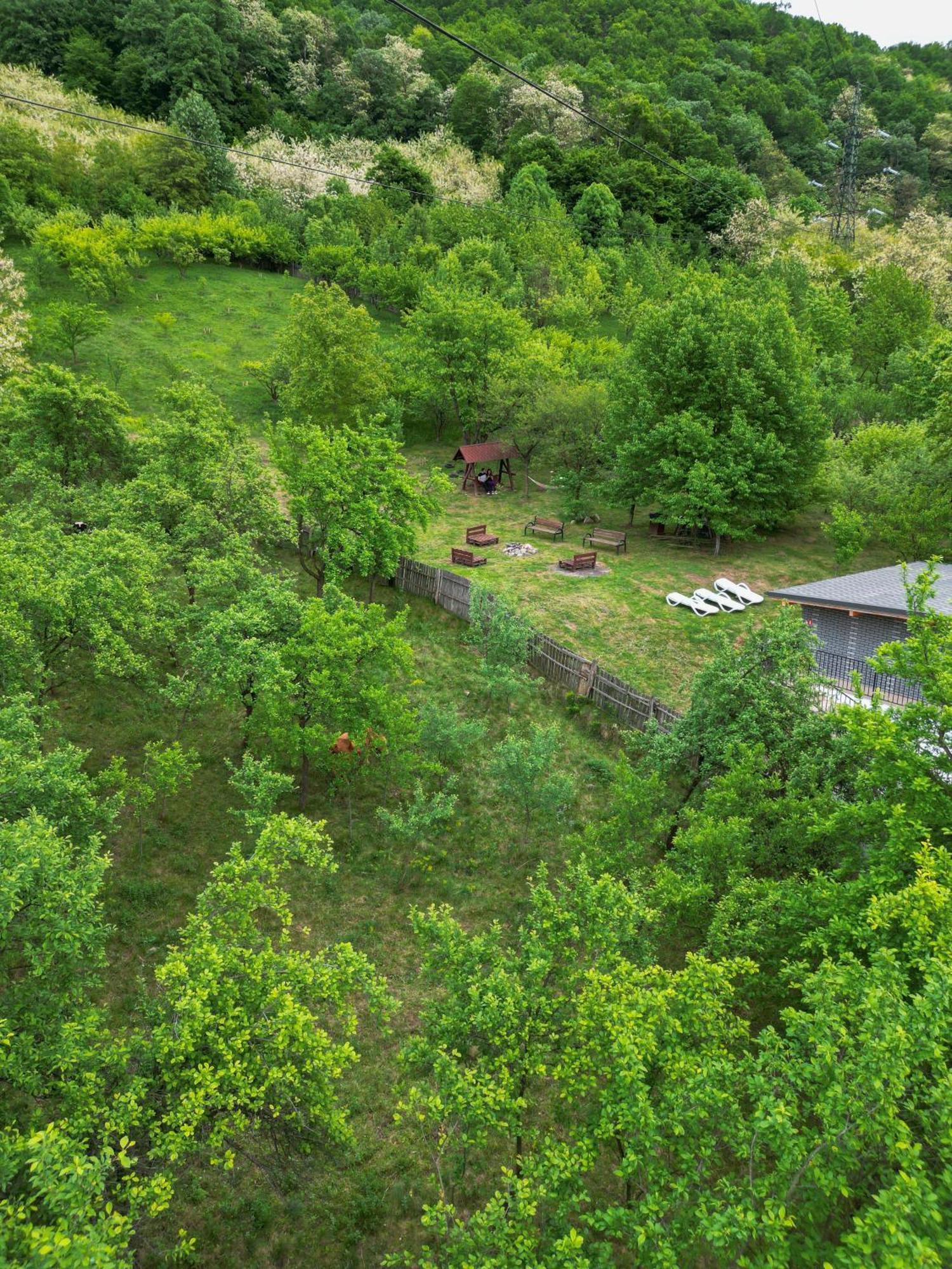 Green Hill Villa Călimăneşti Exterior foto